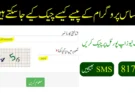 احساس پروگرام کے پیسے کیسے چیک کیے جاسکتے ہیں